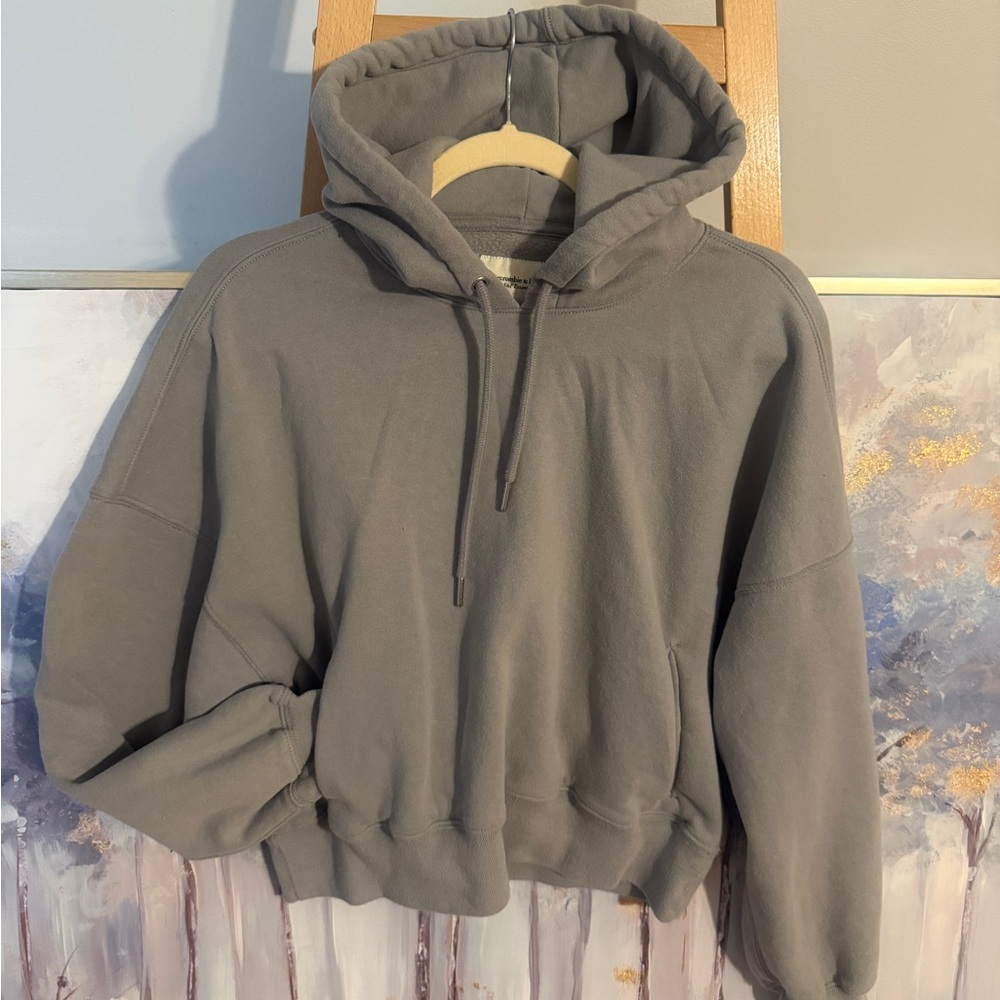 Abercrombie & Fitch Charcoal Hoodie Sweater